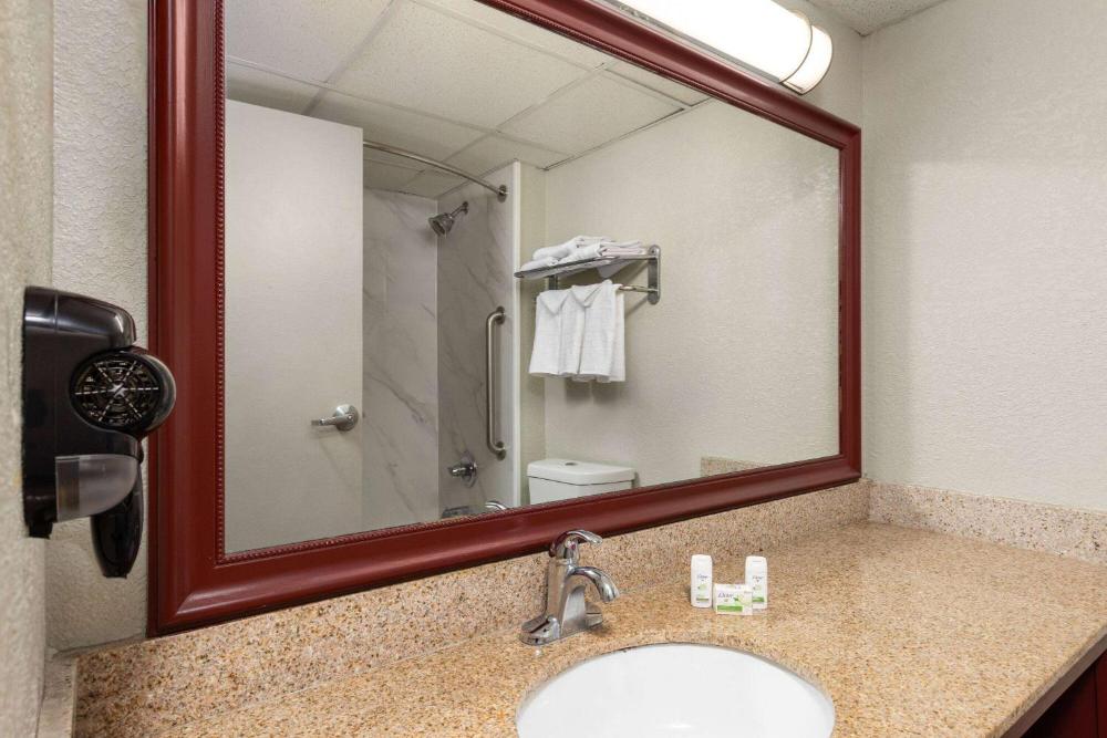 King Room with Roll-In Shower - Disability Access interior